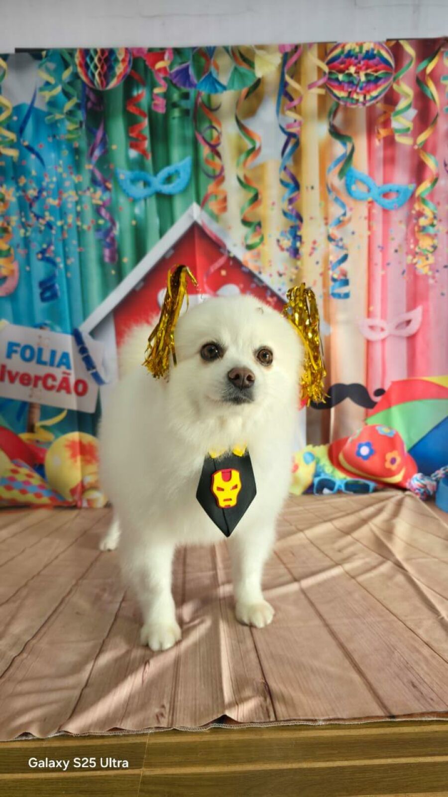 Imagem 2635F5BB-FD92-4E49-8BBE-C5AB2FE6206D